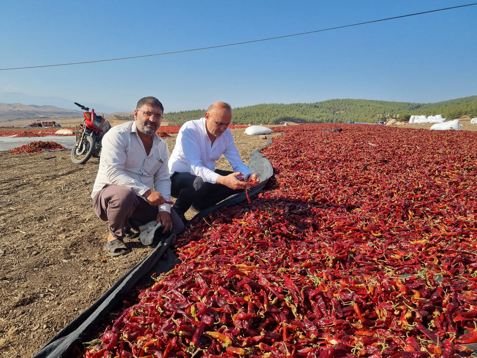 Melih MERİÇ | 28. Dönem CHP Gaziantep Milletvekili - BİBERİN DIŞI ELİ, İÇİ ÜRETİCİYİ YAKIYOR